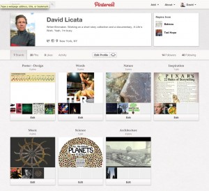 My Pinterest boards. Looking a little thin.