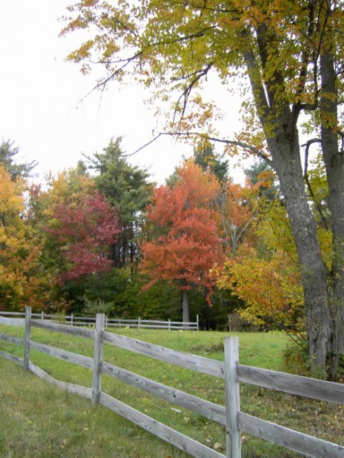 New Hampshire Fence by Christine Lofgren