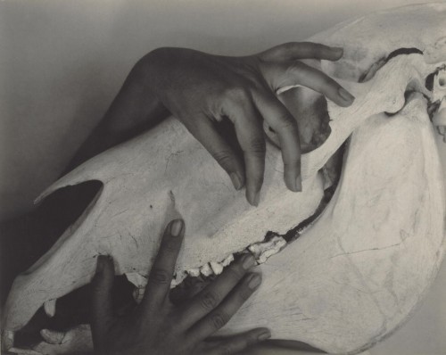 Georgia O'Keeffe: A Portrait, by Alfred Stieglitz