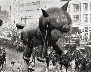 Cat in a parade