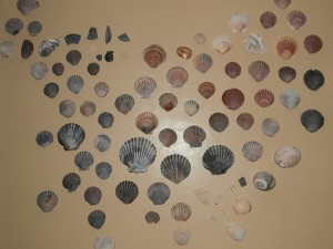 My future writ in shells.