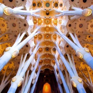 A Quote from Antoni Gaudi