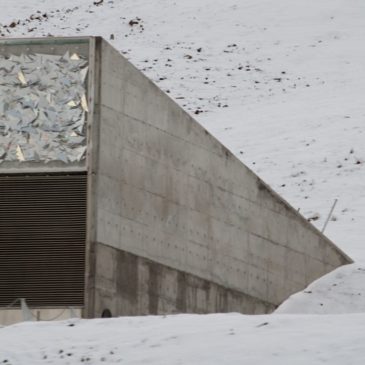 The Svalbard Seed Vault and the Golden Record: Ask the Filmmaker